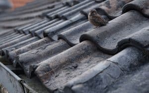 Was wiegt eine Asbest Dachplatte?